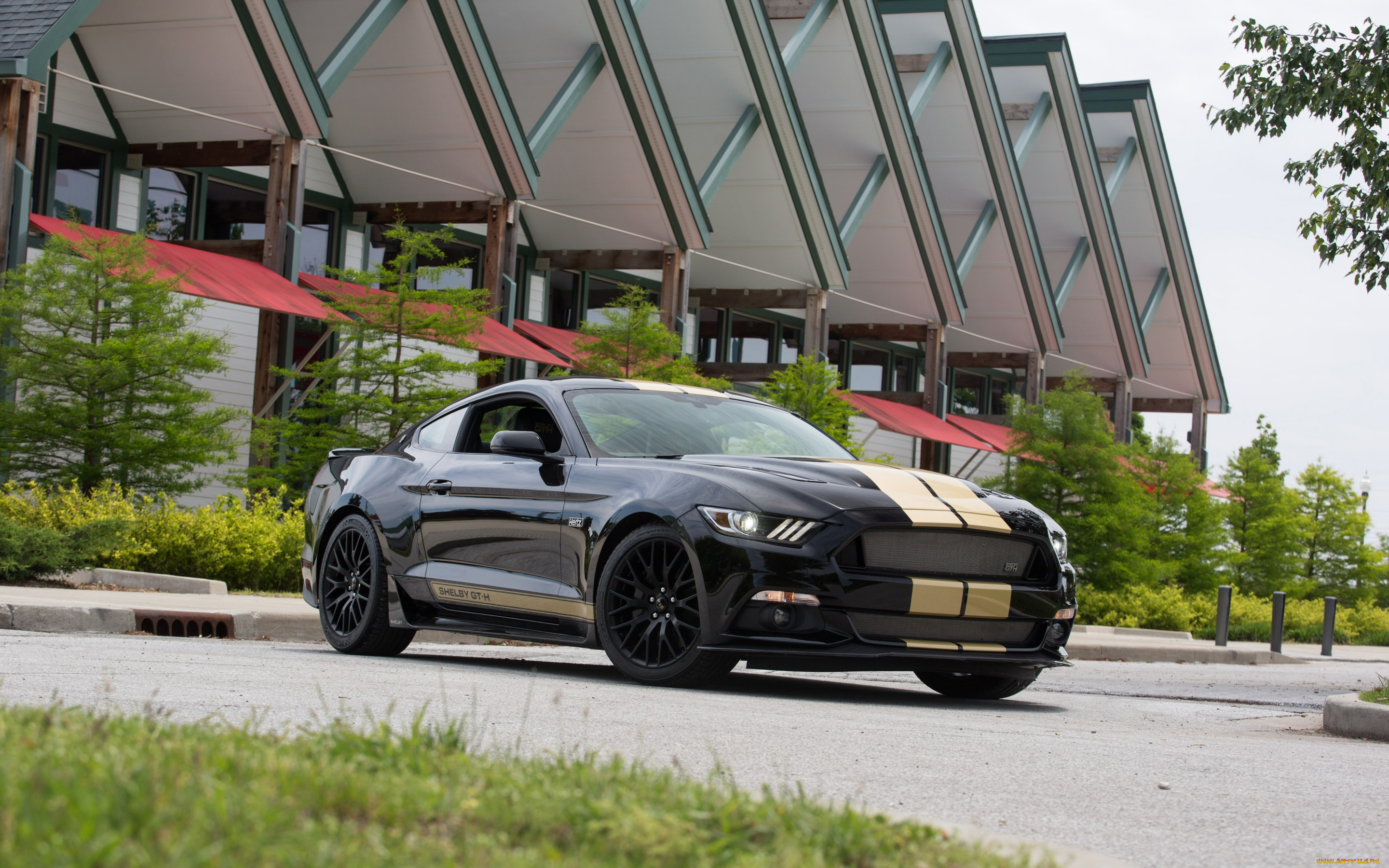 , mustang, , , ford